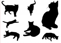 Sticker A4 mix gatti - 28 * 20cm